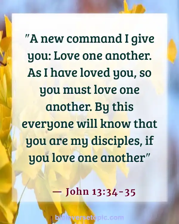Best Bible Verses To Share With Friends (John 13:34-35)