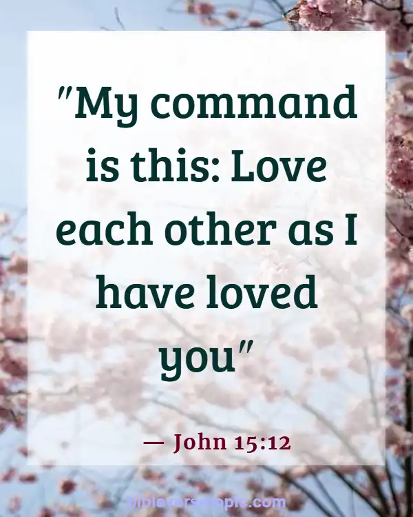 Best Bible Verses To Share With Friends (John 15:12)