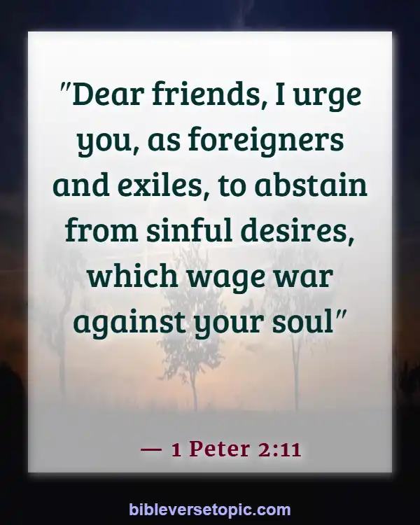 Bible Verses About Overcoming Sin, Temptation, And Lustful Thoughts (1 Peter 2:11)