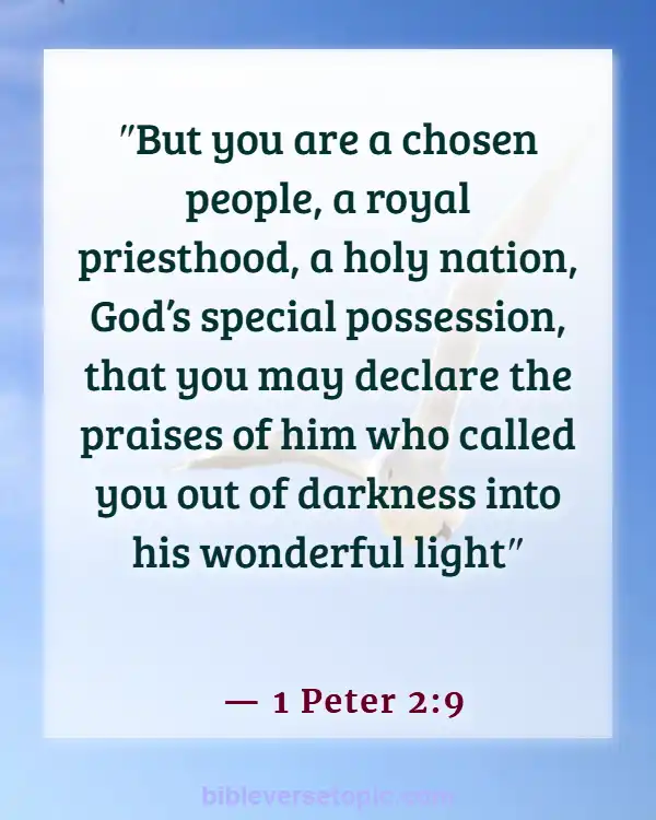 Bible Verses About worship The Lord In The Beauty Of Holiness (1 Peter 2:9)