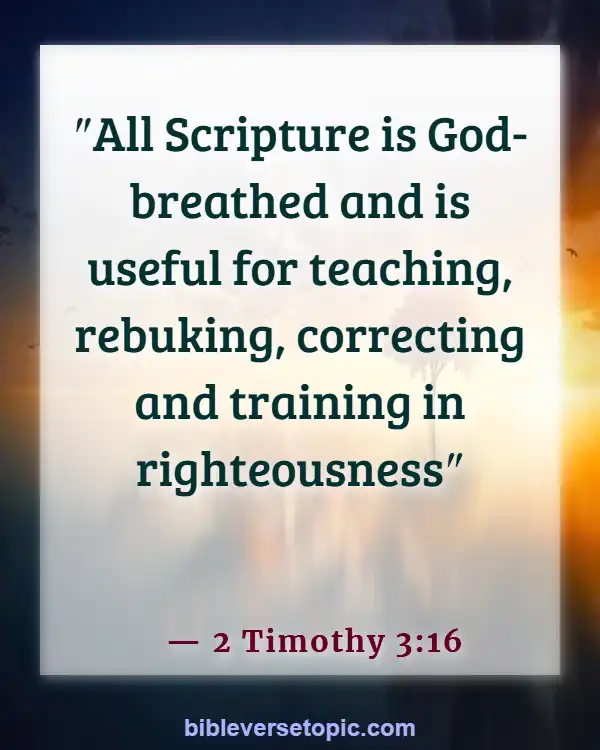  Bible Verses About Word Of God (2 Timothy 3:16)