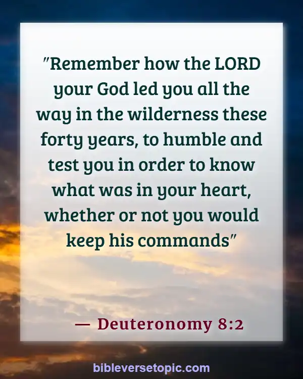 Bible Verses About Remembering The Past (Deuteronomy 8:2)