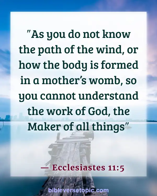 Bible Verses About Life Beginning At Conception (Ecclesiastes 11:5)