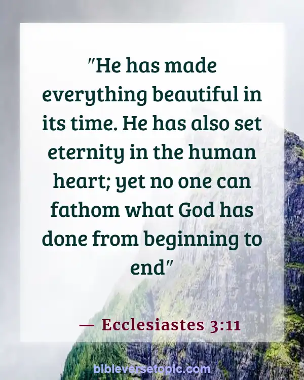 Bible Verses About God’s Beautiful Creation (Ecclesiastes 3:11)
