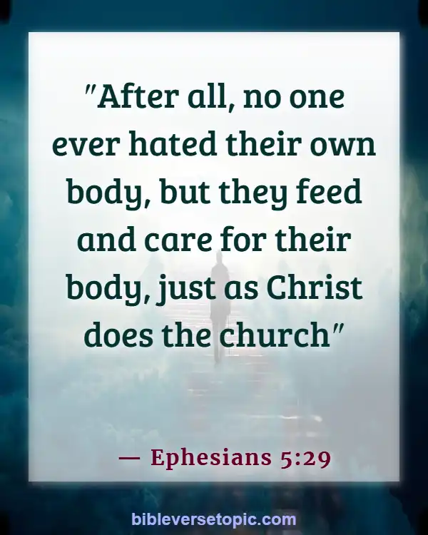 Bible Verses About Wife Submitting To Husband (Ephesians 5:29)