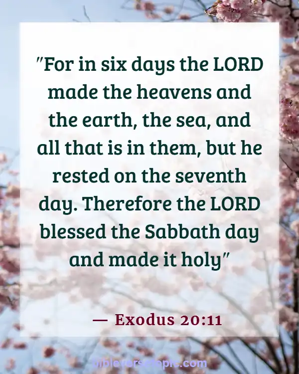 Bible Verses About God’s Beautiful Creation (Exodus 20:11)