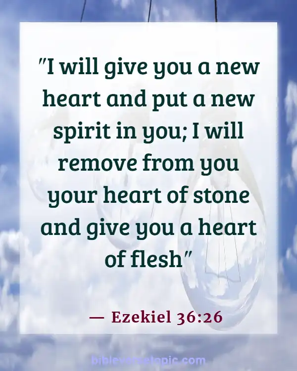 Bible Verses About The Heart Of A Woman (Ezekiel 36:26)