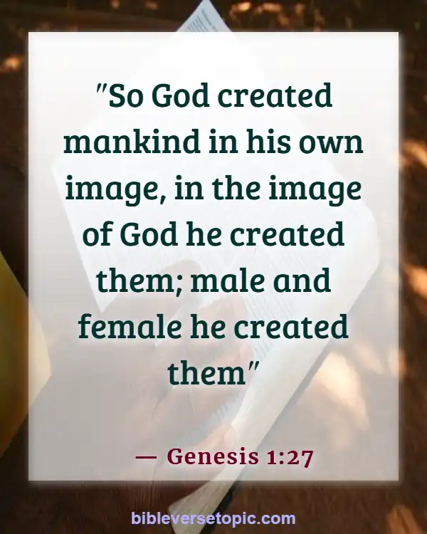 Bible Verses About Life Beginning At Conception (Genesis 1:27)