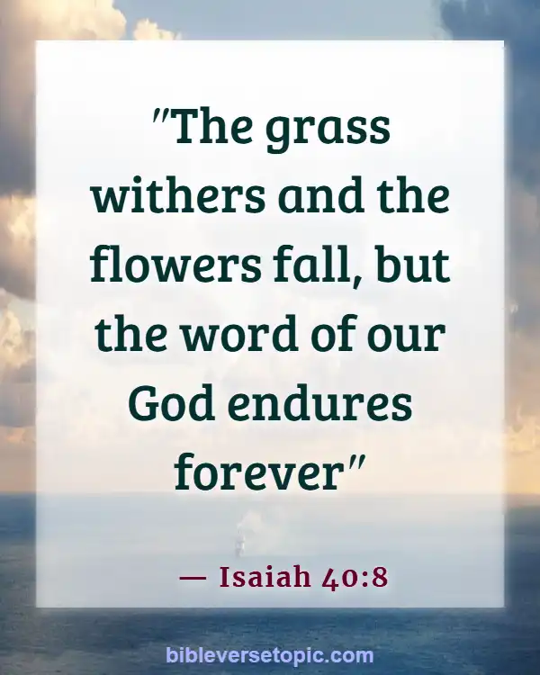  Bible Verses About Word Of God (Isaiah 40:8)