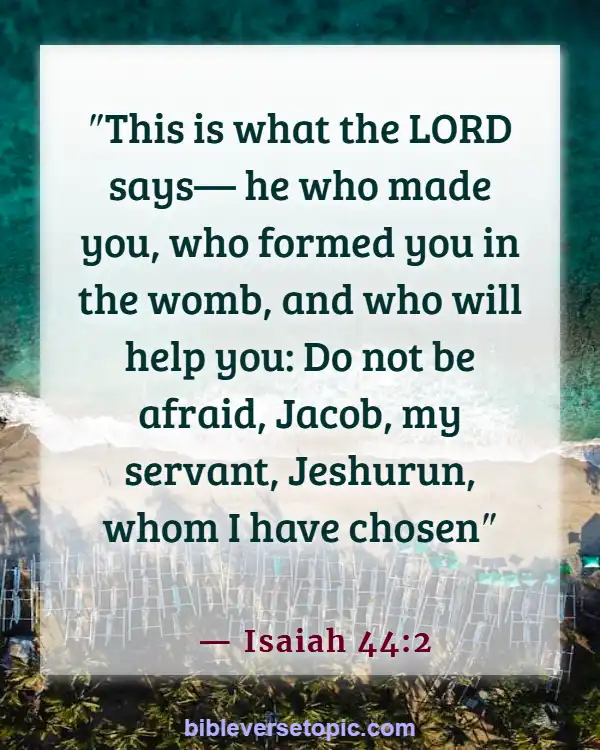 Bible Verses About Life Beginning At Conception (Isaiah 44:2)