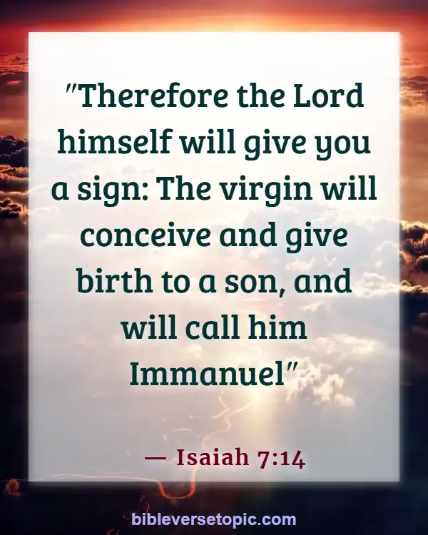 Bible Verses About Life Beginning At Conception (Isaiah 7:14)