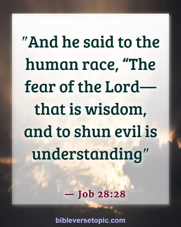  Bible Verses About Word Of God (Job 28:28)
