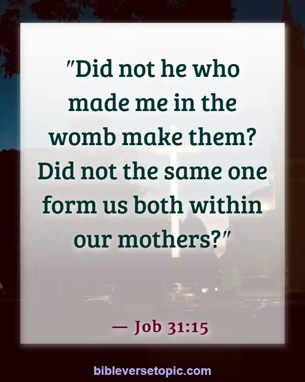 Bible Verses About Life Beginning At Conception (Job 31:15)