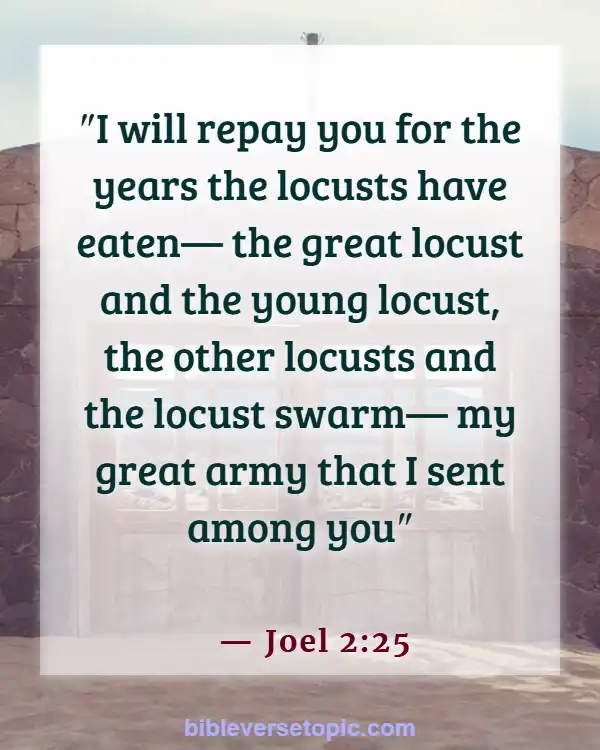Bible Verses About Missing Someone You Love (Joel 2:25)
