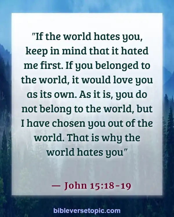 Bible Verses About Losing Friends Because Of Faith (John 15:18-19)