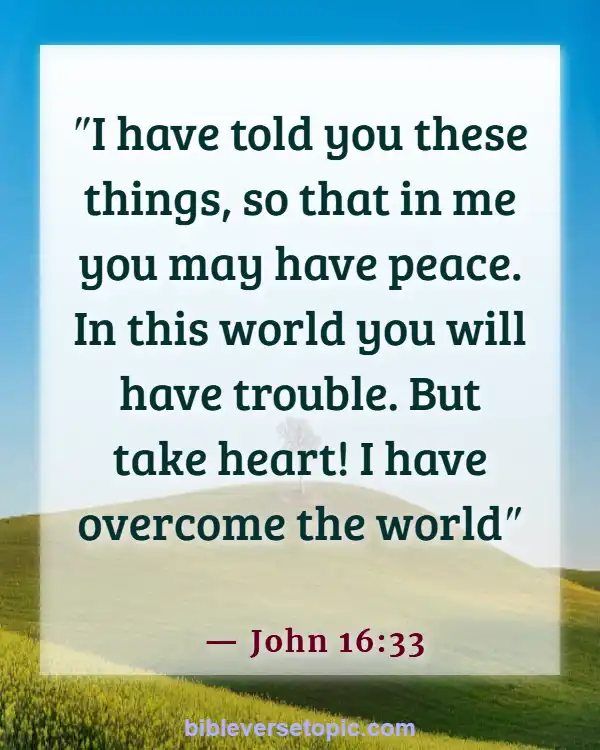 Bible Verses About Missing Someone You Love (John 16:33)