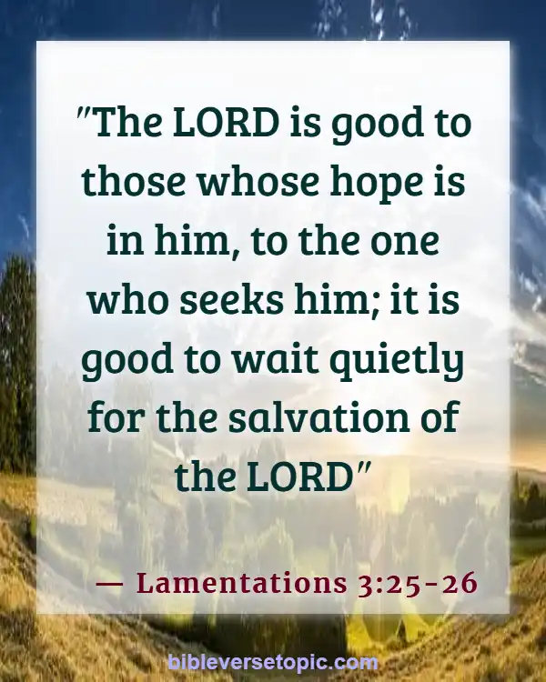 God Has A Plan And Purpose For Your Life Bible Verses (Lamentations 3:25-26)