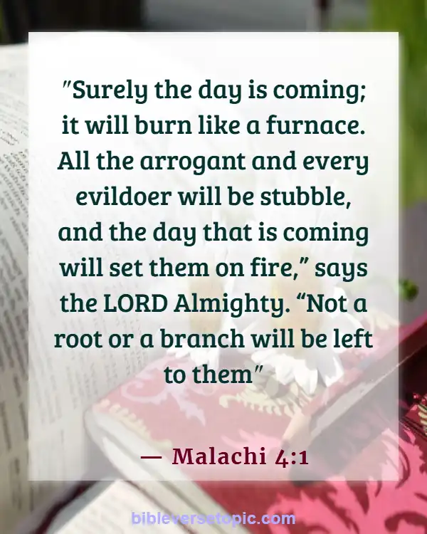 Bible Verses About Destruction Of The Earth By Fire (Malachi 4:1)