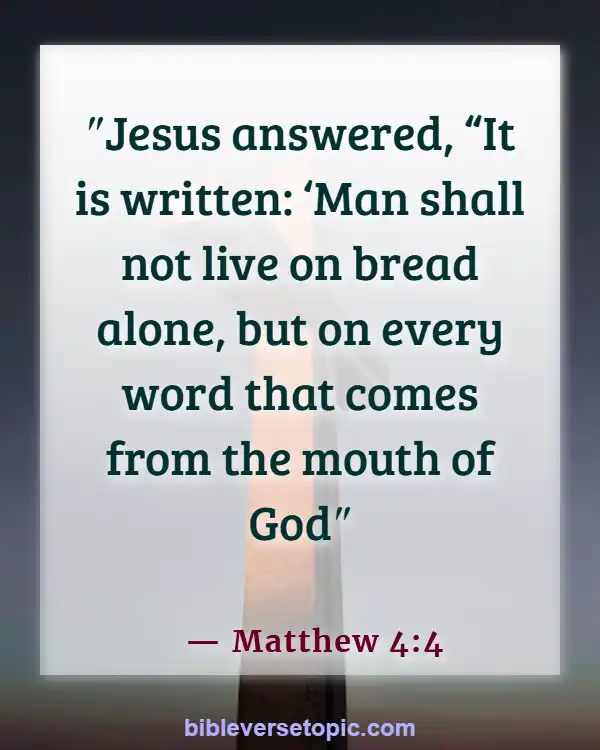  Bible Verses About Word Of God (Matthew 4:4)