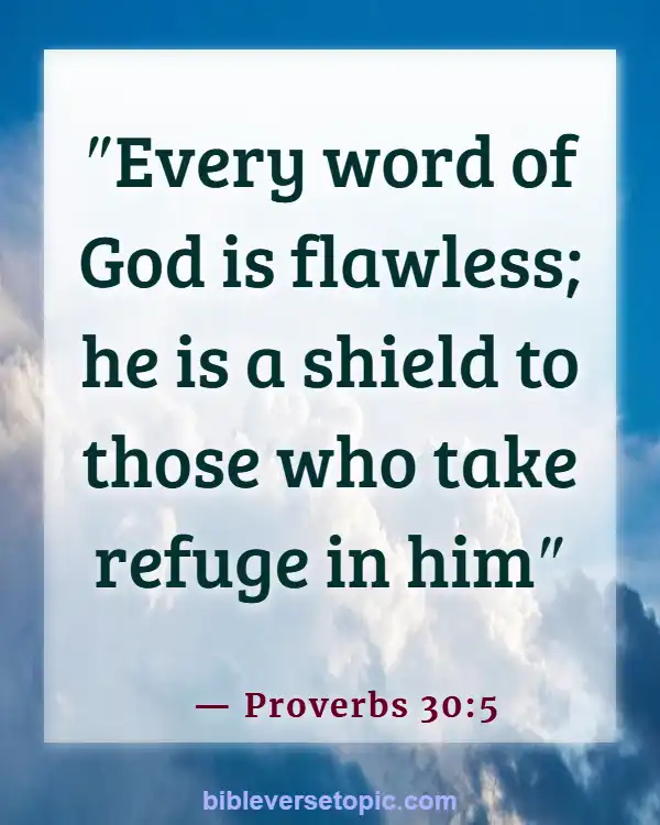 Bible Verses About Word Of God (Proverbs 30:5)