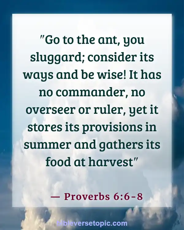 Bible Verses About Saving Money (Proverbs 6:6-8)