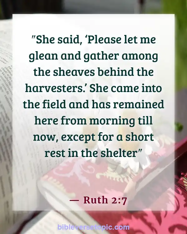 Bible Verses About Hard Working Woman (Ruth 2:7)